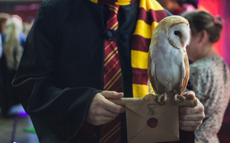 Owl and a letter to Hogwarts school of magic. Cosplayer Harry Potter