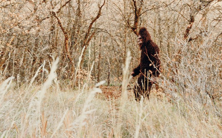 A Sasquatch Bigfoot in the autumn forest.