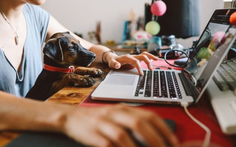 Young woman sitting at the desk at her home, working on the laptop while her puppy pet sits on her lap. Freelancer work from home concepts in casual atmosphere.