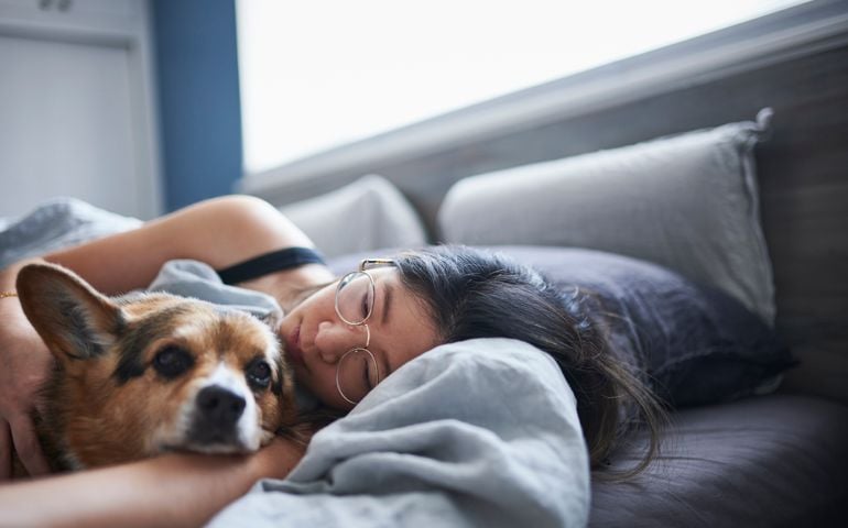 Mid adult woman lying in bed with dog