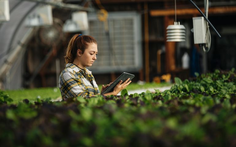Female farm worker using digital tablet in greenhouse