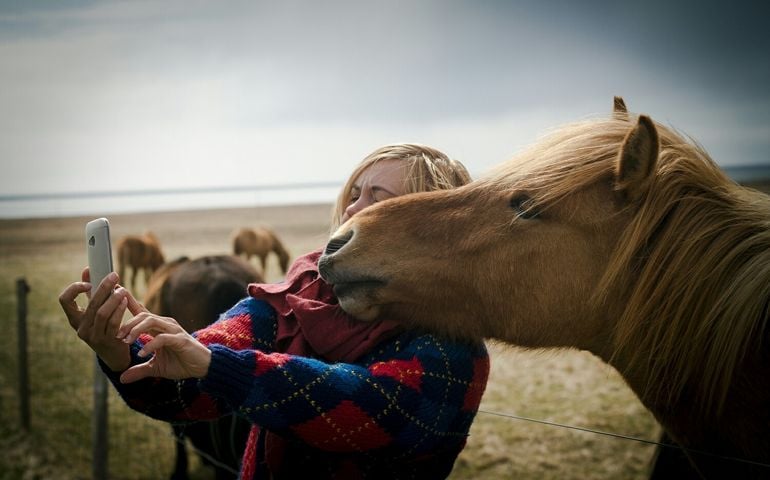 Young Woman Taking Selfie With Brown Horse In Ranch