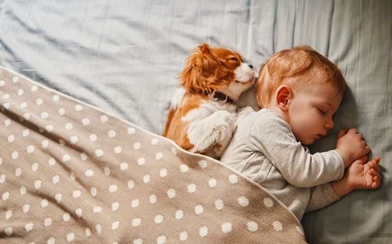 baby and his puppy sleeping peacefully