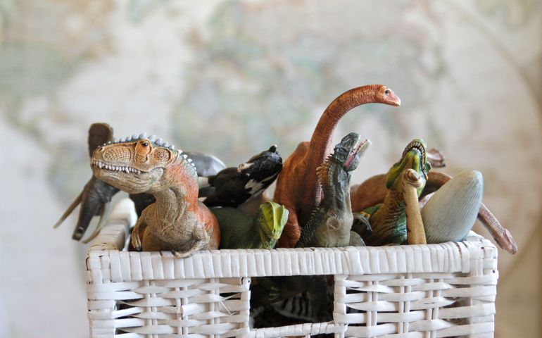 Animal Toys in Toy Box