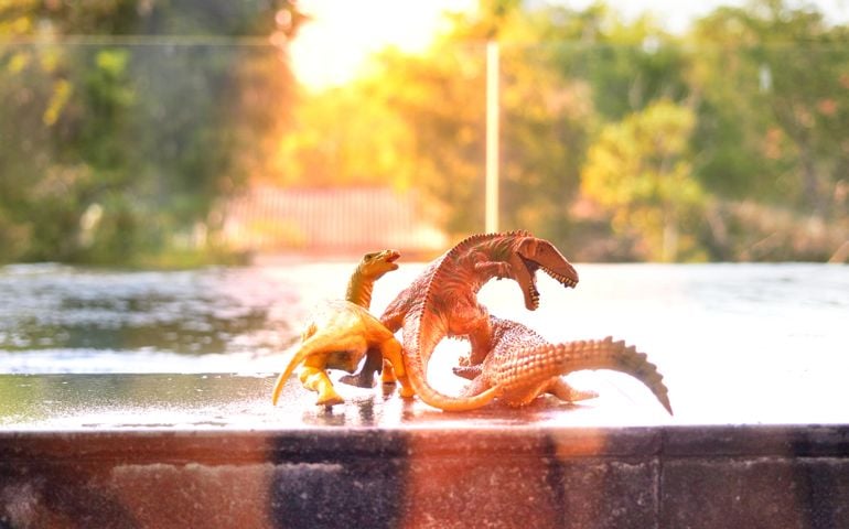 dinosaur toys ,T rex ,crocodile on side bar of swimming pool with sun light