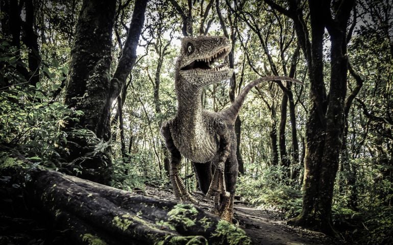 Velociraptor Dinosaur in the Rainforest