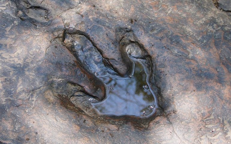 Real dinosaur Footprint , Thailand