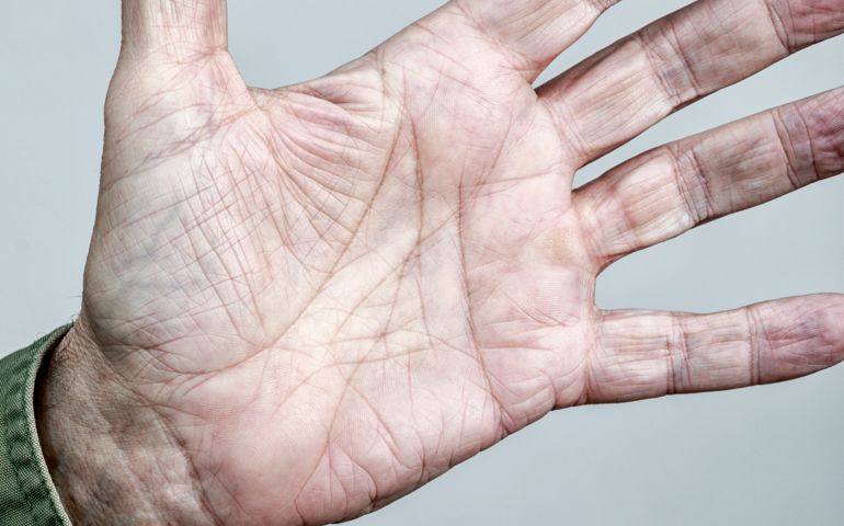 Cropped close-up of the open palm of a senior adult man's outstretched hand. He's got dozens of clearly defined wrinkles, lines, swirls, palm and finger prints and layers of interesting patterns. Careful - you might need to duck! This could be an incoming imminent face slap! Or a ringing upside the head smack! Perhaps Grandpa is waiting for his astrology reading at the fortune teller? Nah, actually, it's just a close-up portrait of the inside of an aging, weathered, old hand.