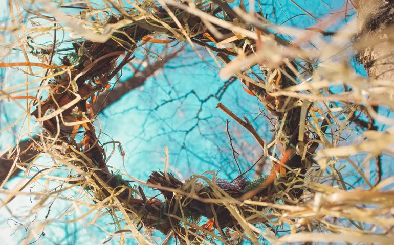 Pagan sunny fresh spring summer ritual Slavic fest Kupala wreath in sunset forest park.