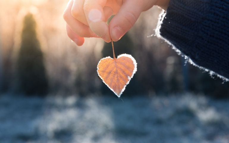 Close-Up Of Hand Holding Leaf