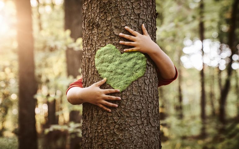 Nature lover, close up of child hands hugging tree