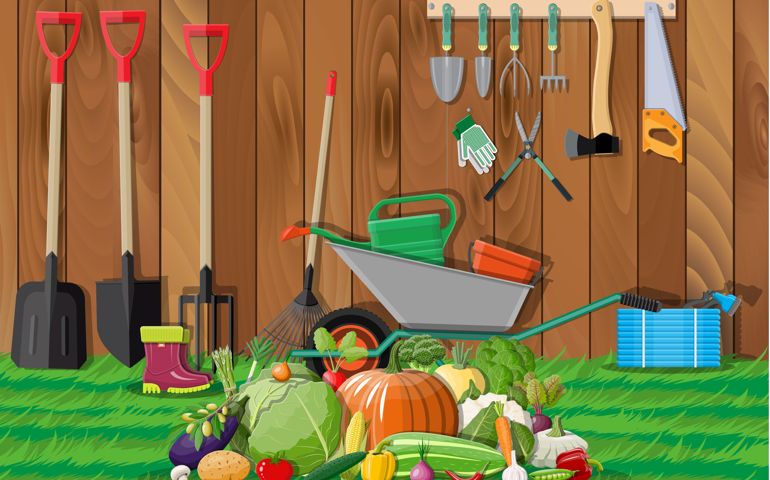 Garden harvest with vegetables and different gardening equipment, tools.