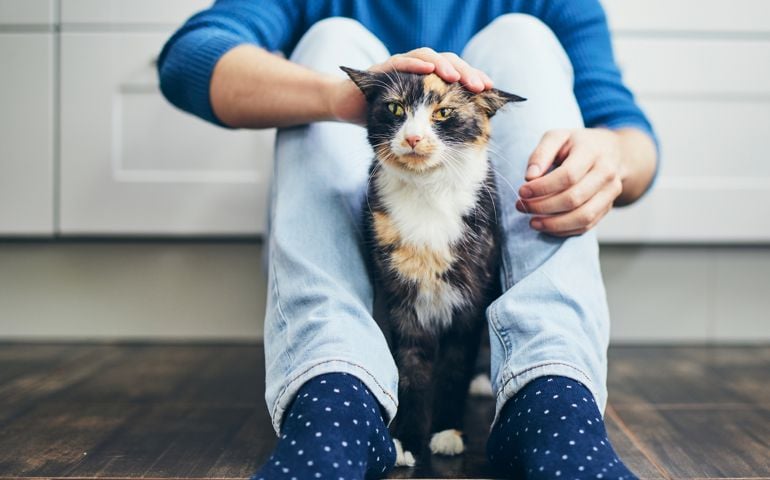 Domestic life with pet. Young man siiting on floor in home kitchen and stroking his cute cat