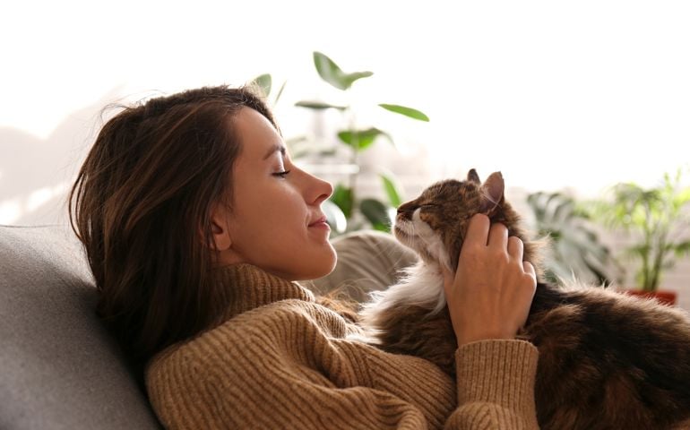 Portrait of young woman holding cute siberian cat with green eyes. Female hugging her cute long hair kitty. Background, copy space, close up. Adorable domestic pet concept.