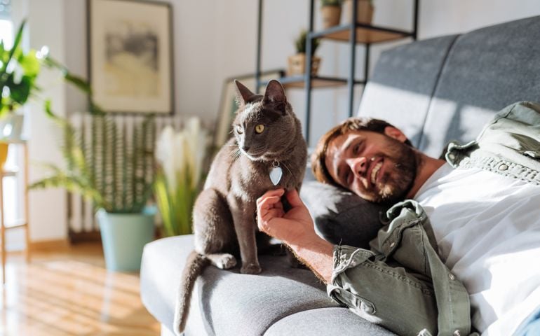 Millennial handsome man with his Russian blue cat at home