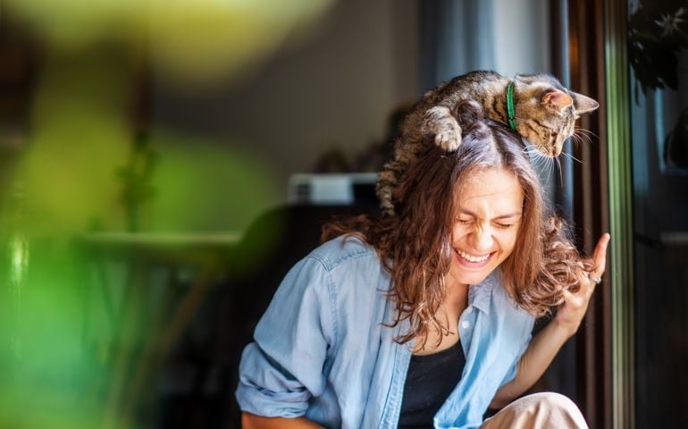 Beautiful young woman laughing happily with a cat on her head, companion pet friendship