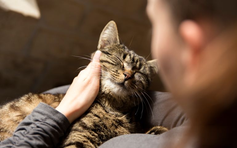 Woman cuddling with cat