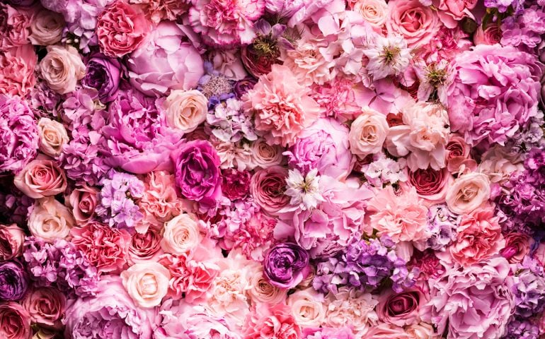 Various cut flowers