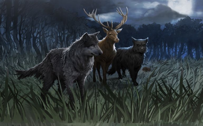 animagus animals