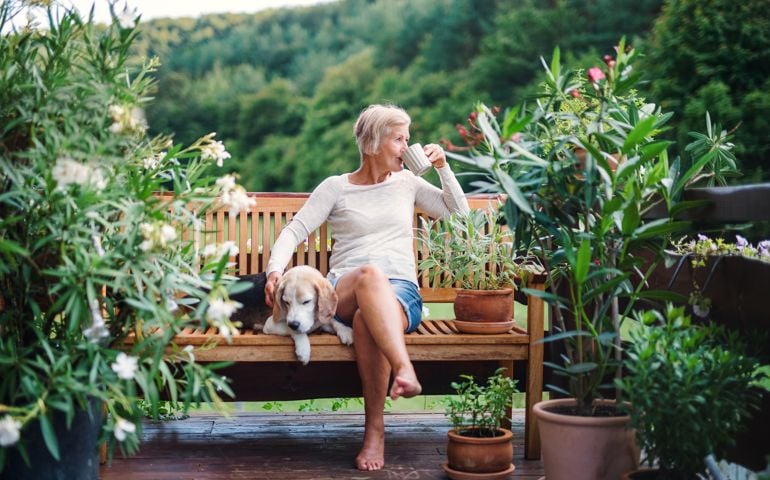 A senior woman with a dog and coffee sitting outdoors on a terrace on sunny day in summer.