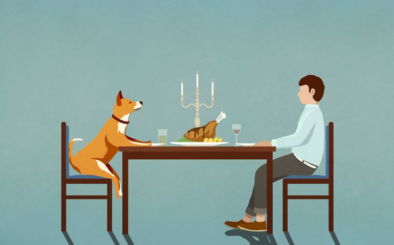 Man and dog enjoying candlelight dinner at table