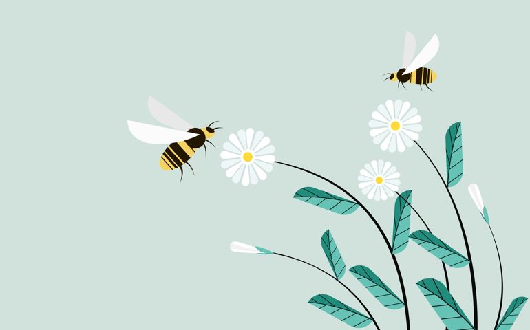 Illustration of honeybees flying around flowers