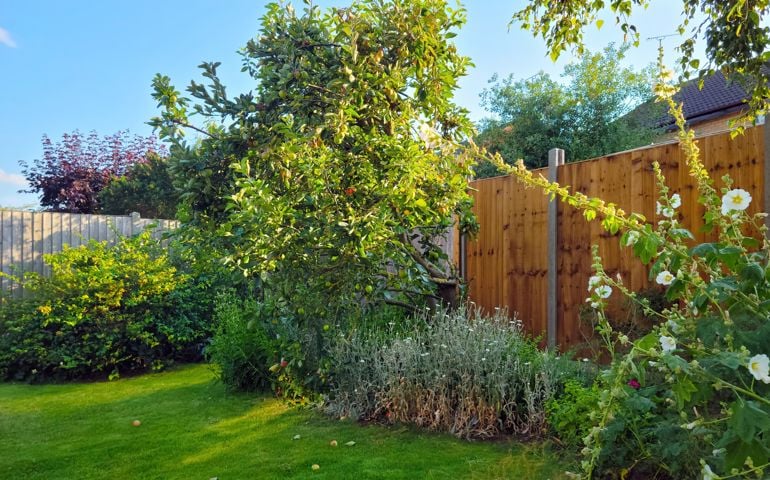 English back garden