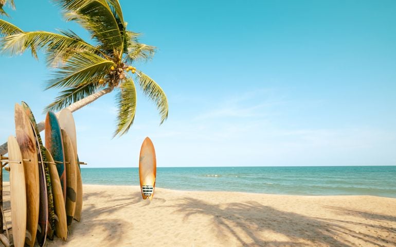 Surfboard and palm tree on beach with beach sign for surfing area.