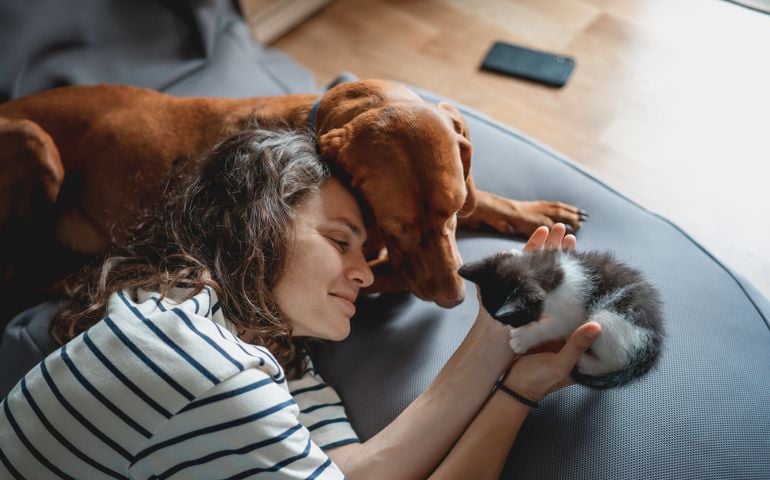 Portrait of a young woman with a Hungarian Pointer dog and a small kitten in her arms lying at home