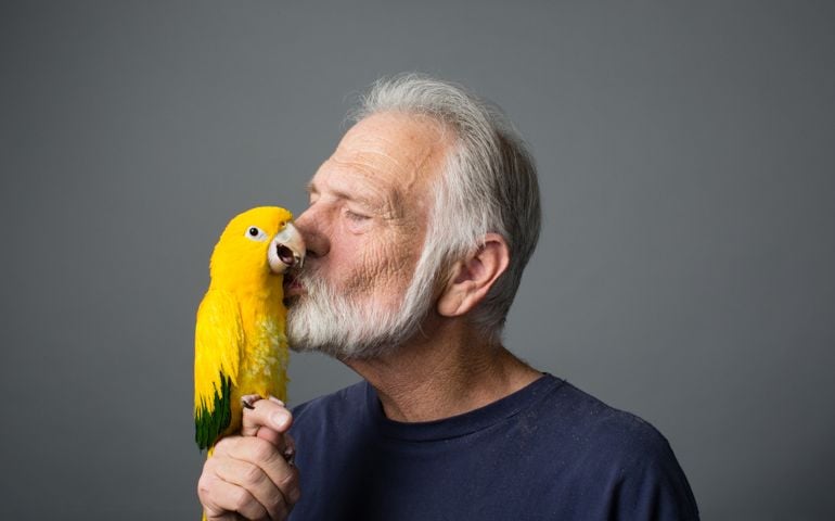 Golden Parakeet, 60-70 year old man, Kissing, Medium Close Up