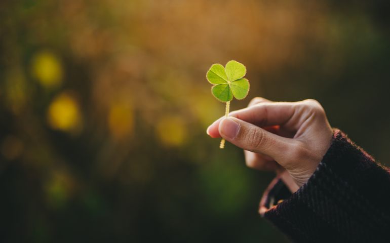 Holding a four-leaf clover