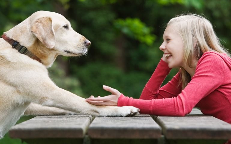 Dog sitting across from girl on picnic table