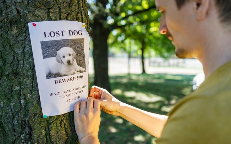 Man nailing a lost dog poster to a tree