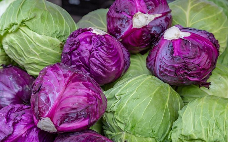 A Full Frame Photograph of Red and Green Cabbages