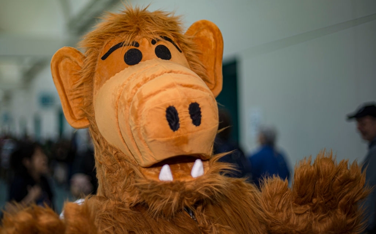 alf