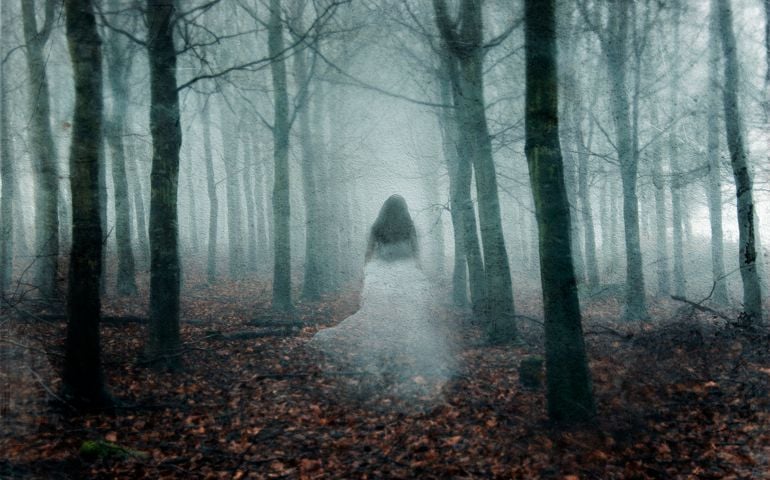 A supernatural concept of a ghostly woman wearing a long white dress, walking through a spooky, foggy forest in winter. With a grunge, vintage edit.