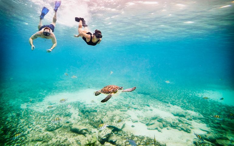 Wide shot underwater view of couple snorkeling near sea turtle swimming in tropical sea