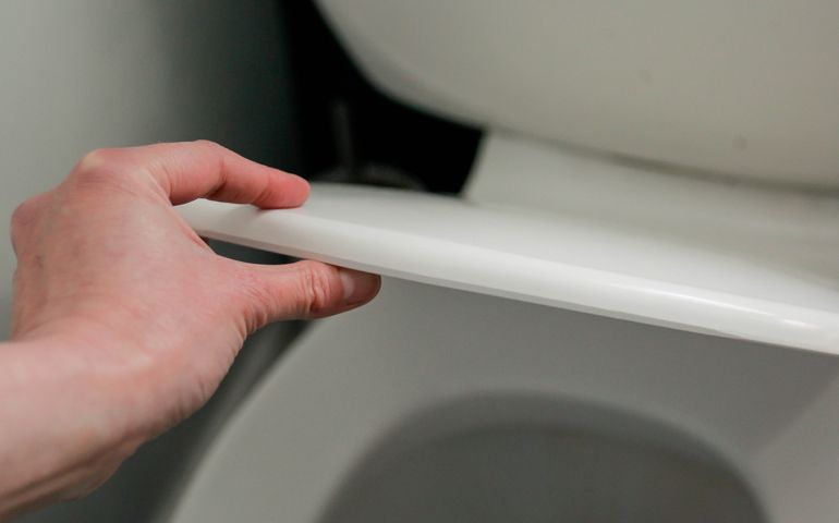 Toilet seat