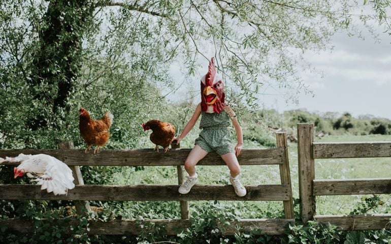 Comical image of a little girl perched on a fence wearing a rubber rooster mask, with real hens beside her.