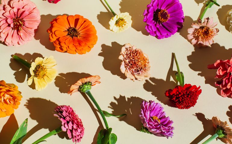 flowers