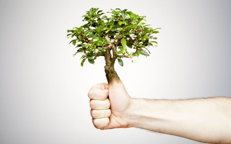 green thumb
