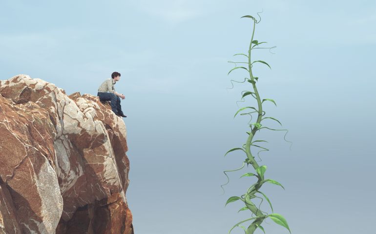 Man sitting on a rock and looking up to his big beanstalk growing up to the sky