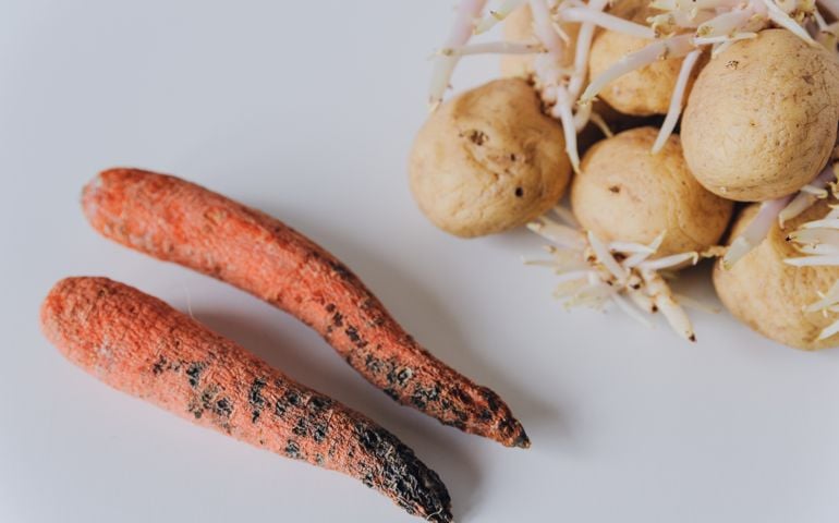 Rotten carrots and sprouting potatoes