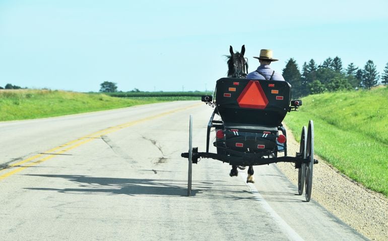Amish Buggy on Highway