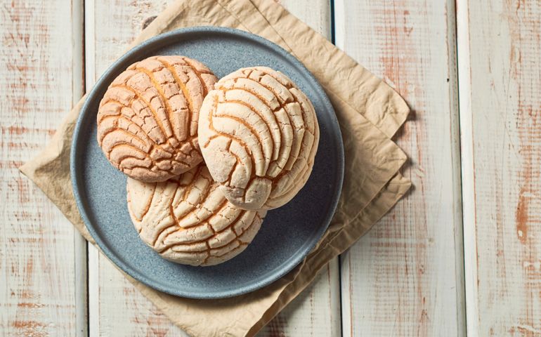 Conchas Mexican sweet bread traditional bakery from Mexico