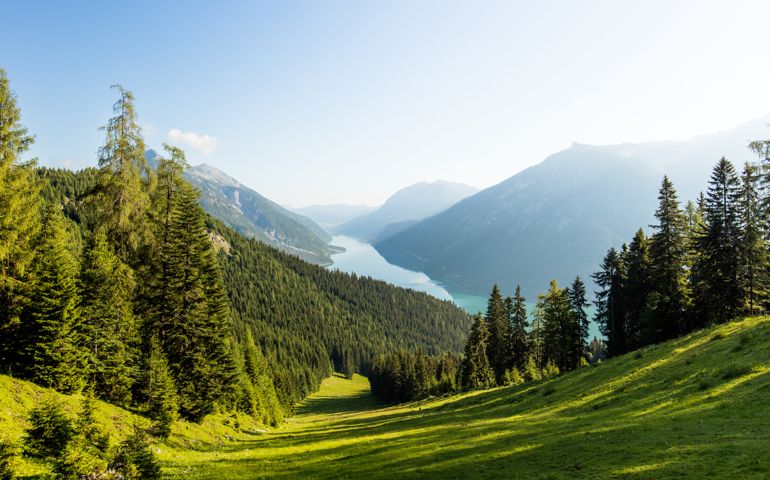 nature view
