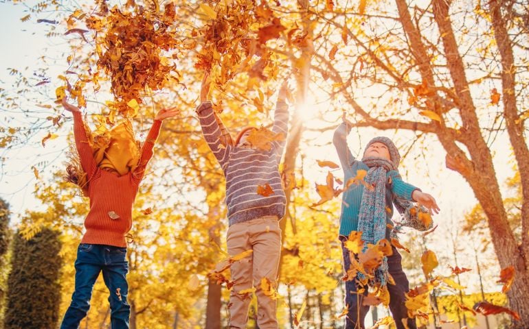 children playing with leafs
