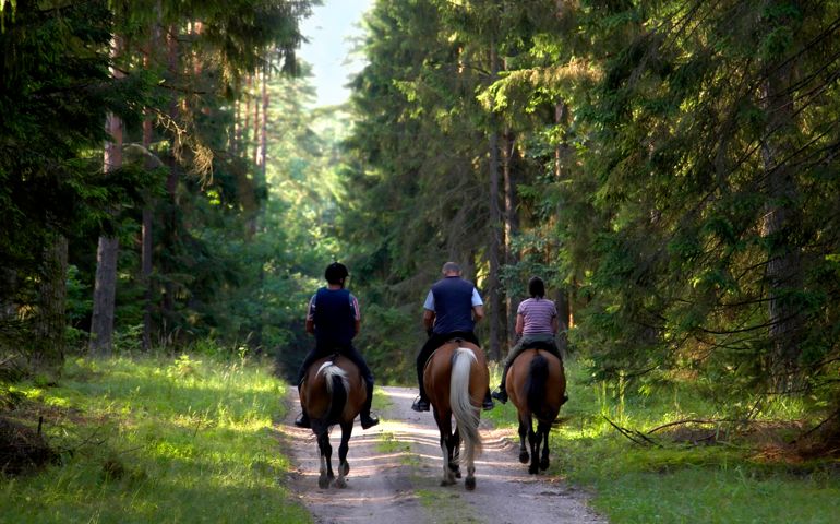 people on horse