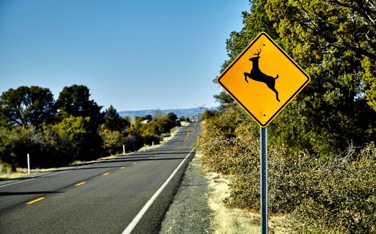 Deer Crossing Road Sign