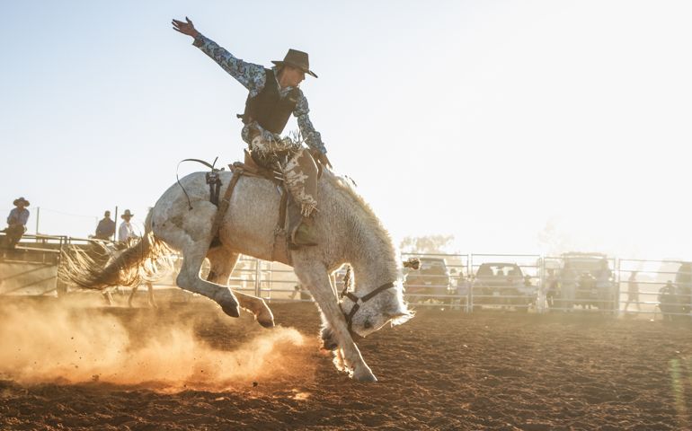 A bucking horse at a rodeo in central Queensland, Australia.